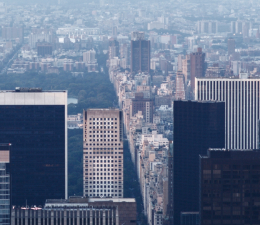 Praesent in nunc fermentum