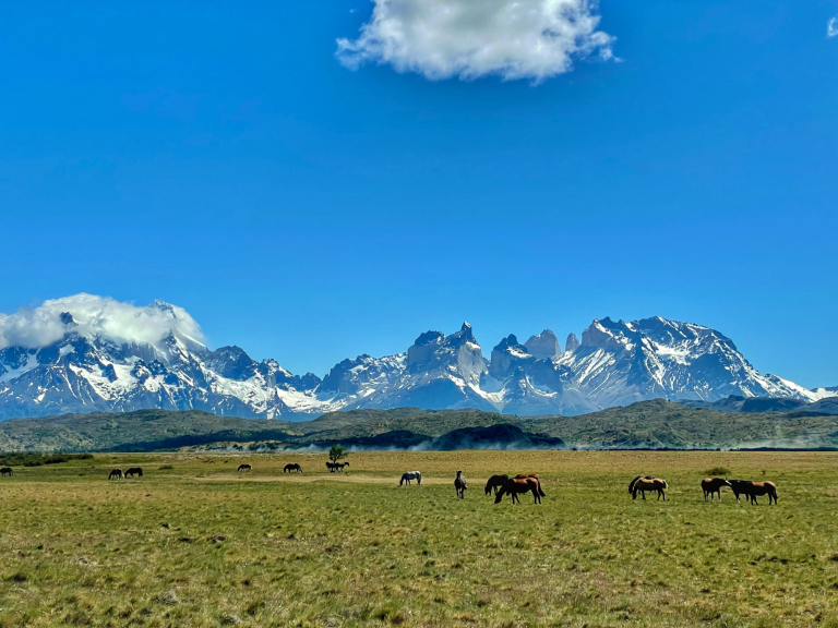 Suspendisse odio magna